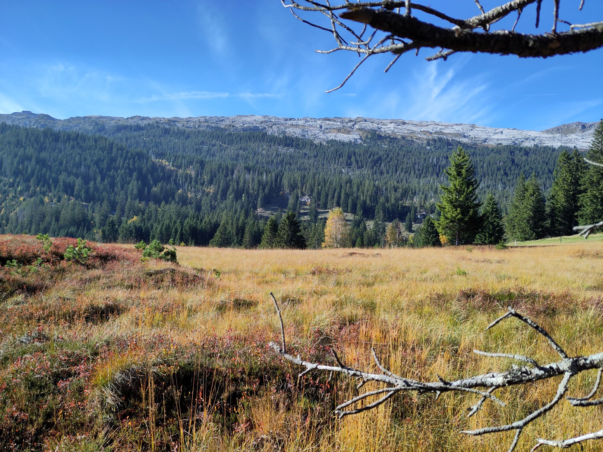 Ausblick mit Sulzfluh